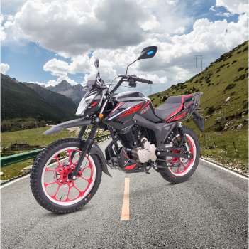 MOTOCICLETA SSENDA DURO P-TERRA 200