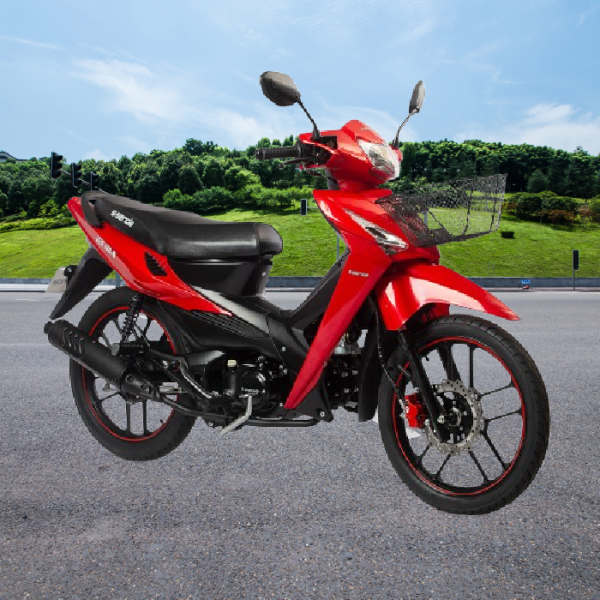 MOTOCICLETA SSENDA LEO 110N-V2