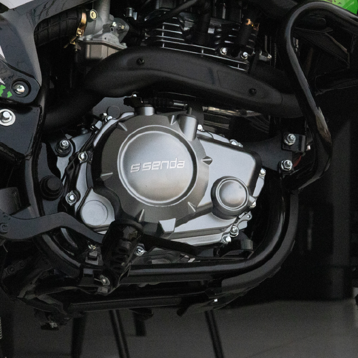 MOTOCICLETA SSENDA MONSTER 250R - Imagen 3