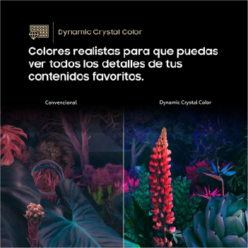 TELEVISOR SAMSUNG 65" UN65CU800GXPE - Imagen 4