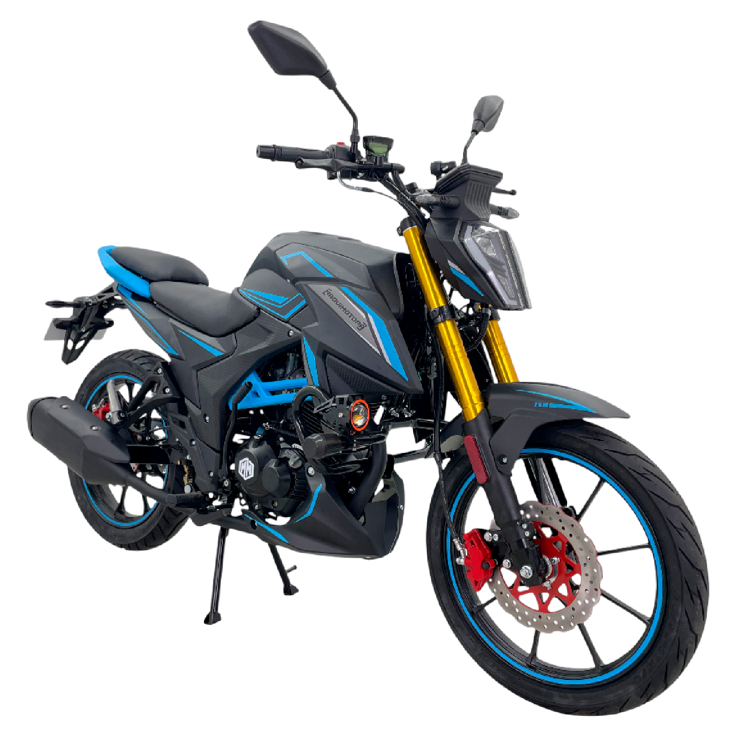 MOTOCICLETA CHEYENNE 200 - Imagen 2