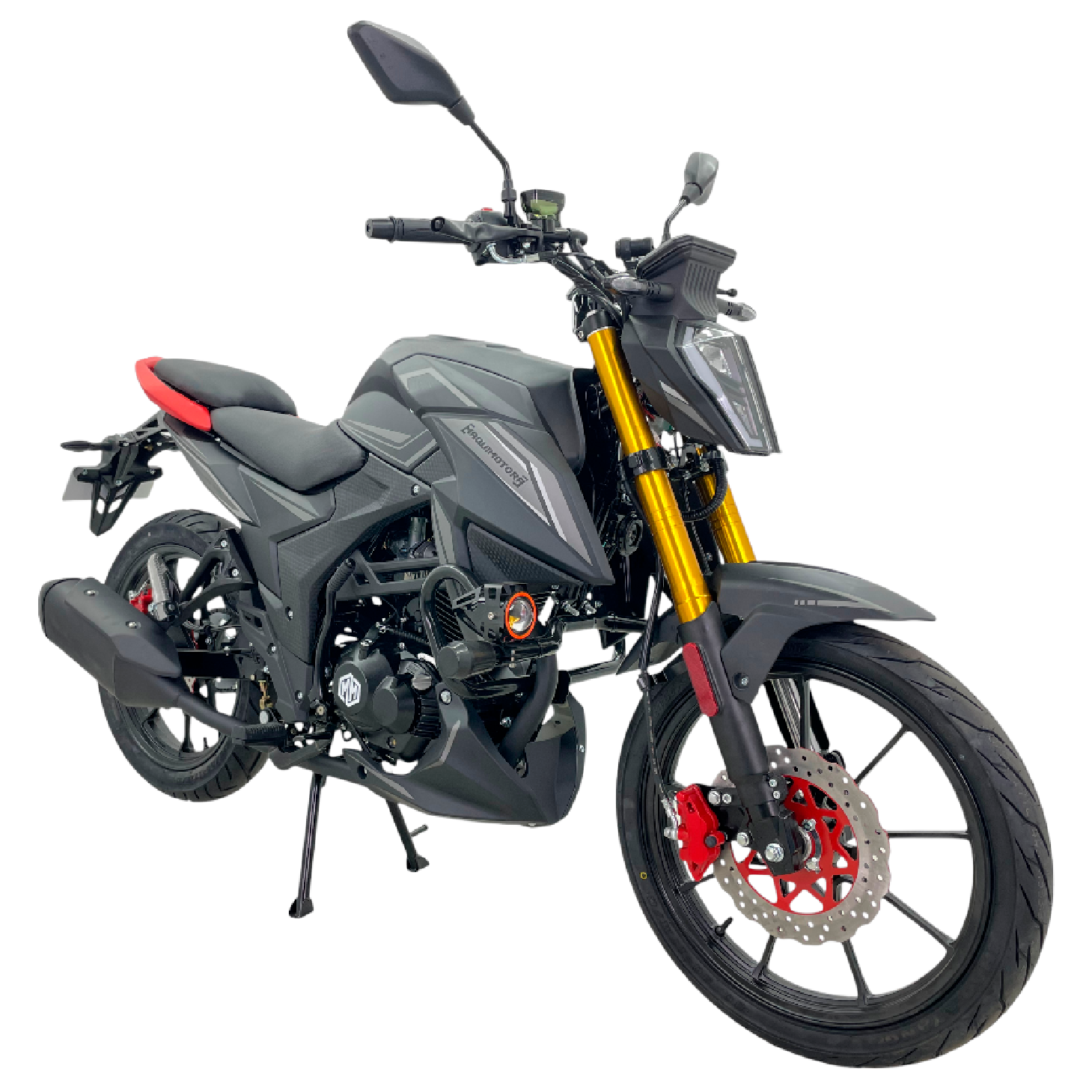 MOTOCICLETA CHEYENNE 200 - Imagen 3