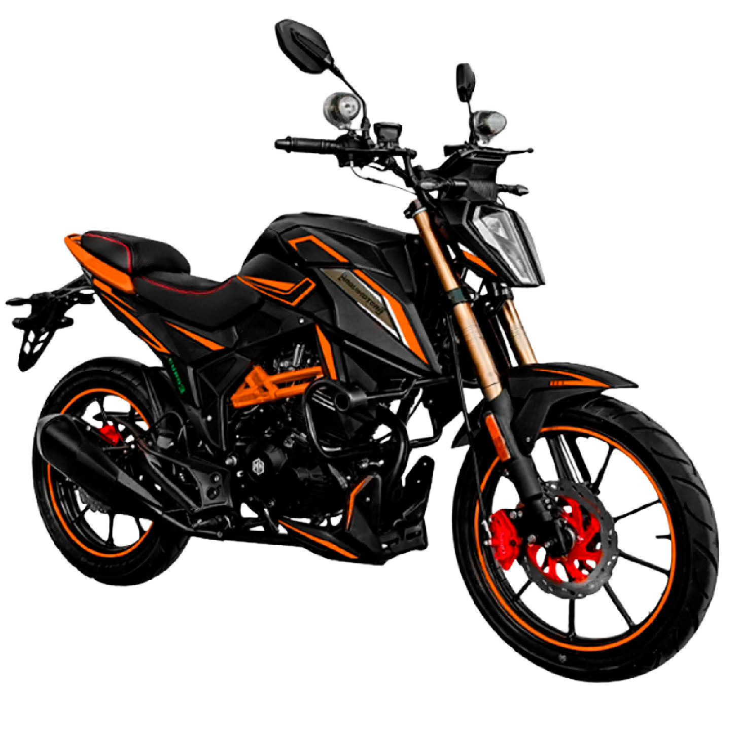 MOTOCICLETA CHEYENNE 200 - Imagen 4